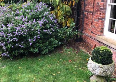 Landscaping, maintenance and building services in Dumfries & Galloway | Michael J. Lakey